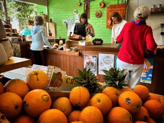 Gourmet Food, Green Grocer and General Store 