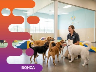 36626 Profitable & In Demand Dog Daycare & Grooming Business