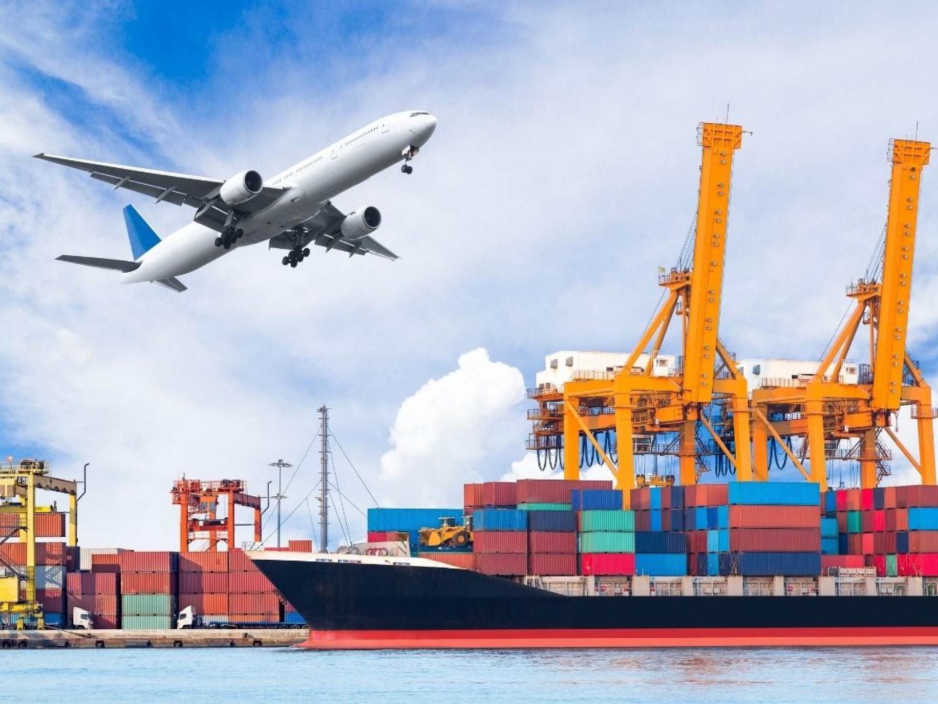Profitable Freight Forwarding & 679211 1