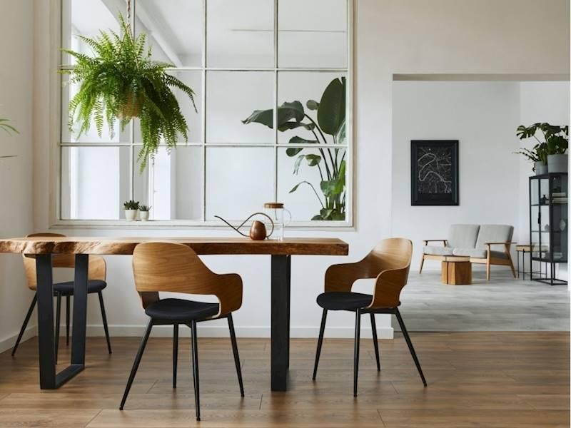 Interior Design Business 50+ 679306 3