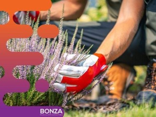 36659 Established & Profitable Gardening Maintenance Business