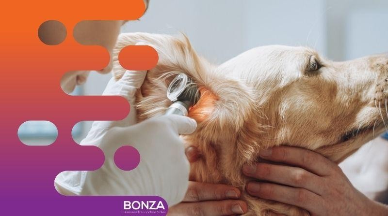 36686 Profitable Mobile Veterinary 680111 3