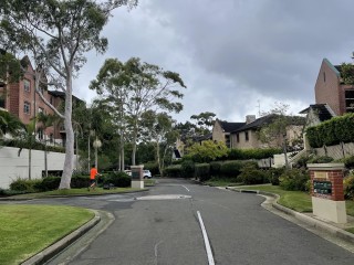 Landscaping and garden maintenance