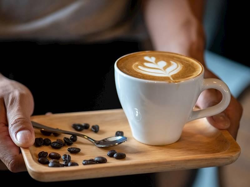 Thriving Bondi Corner Cafe 680309 2