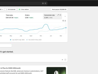 Profitable Ecommerce store with 20% Net Profit Margin