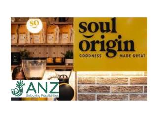 Soul Origin for sale in North-west of the Sydney - NSW340