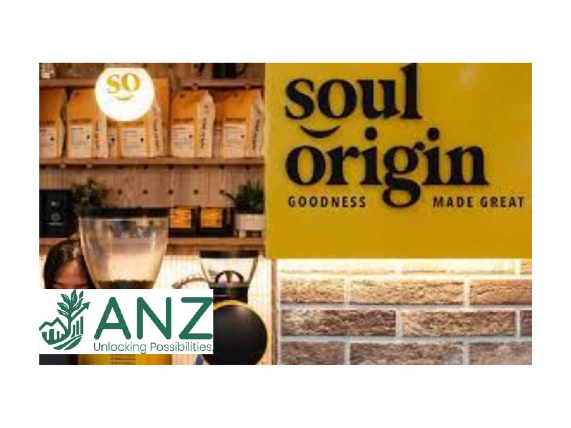 Soul Origin For Sale 680667 1