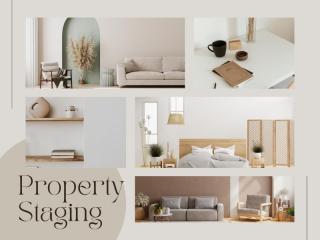 15 Years Property Styling/Staging Business For Sale SV1596