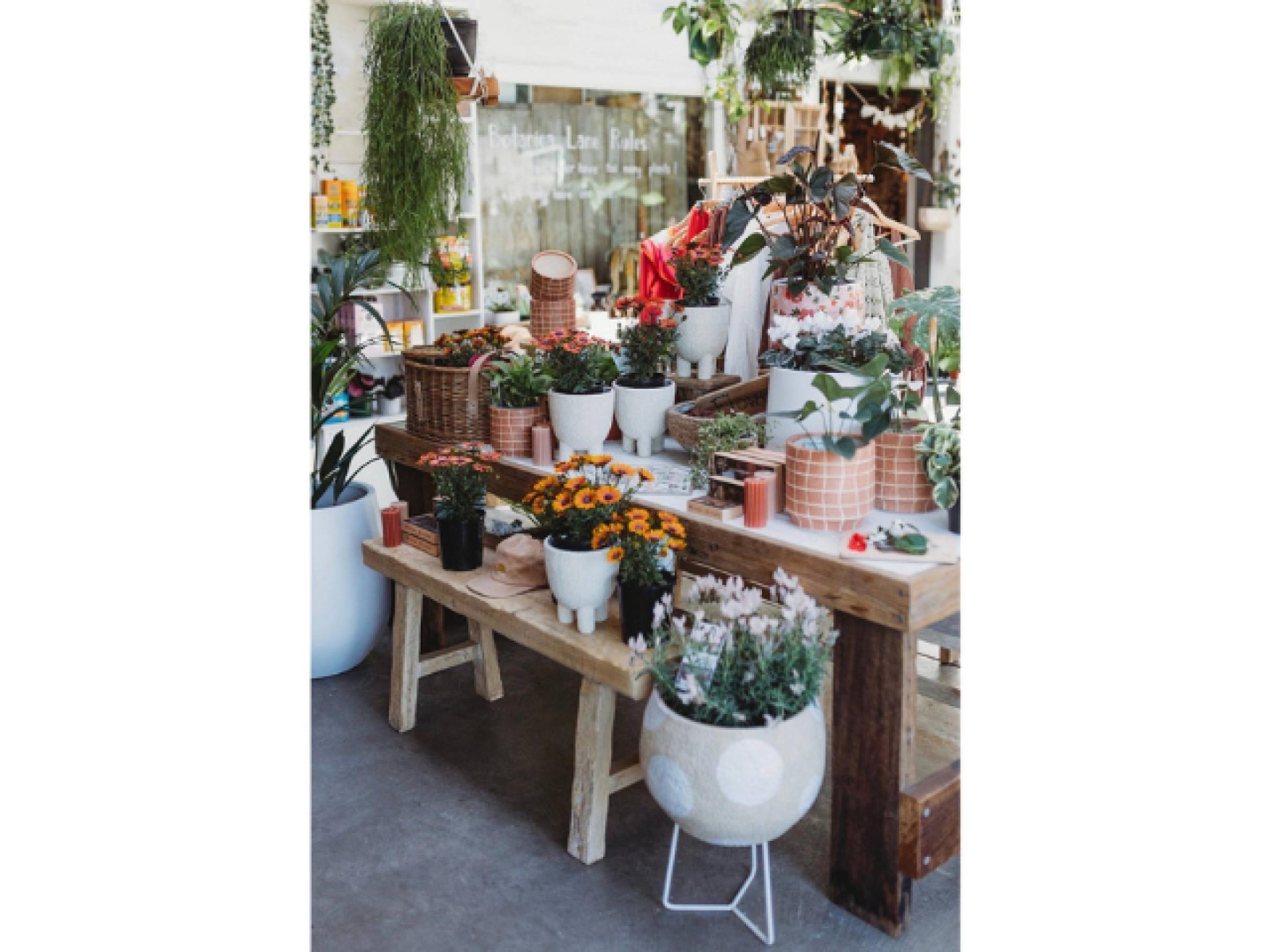 Boutique Plant / Garden 680880 1