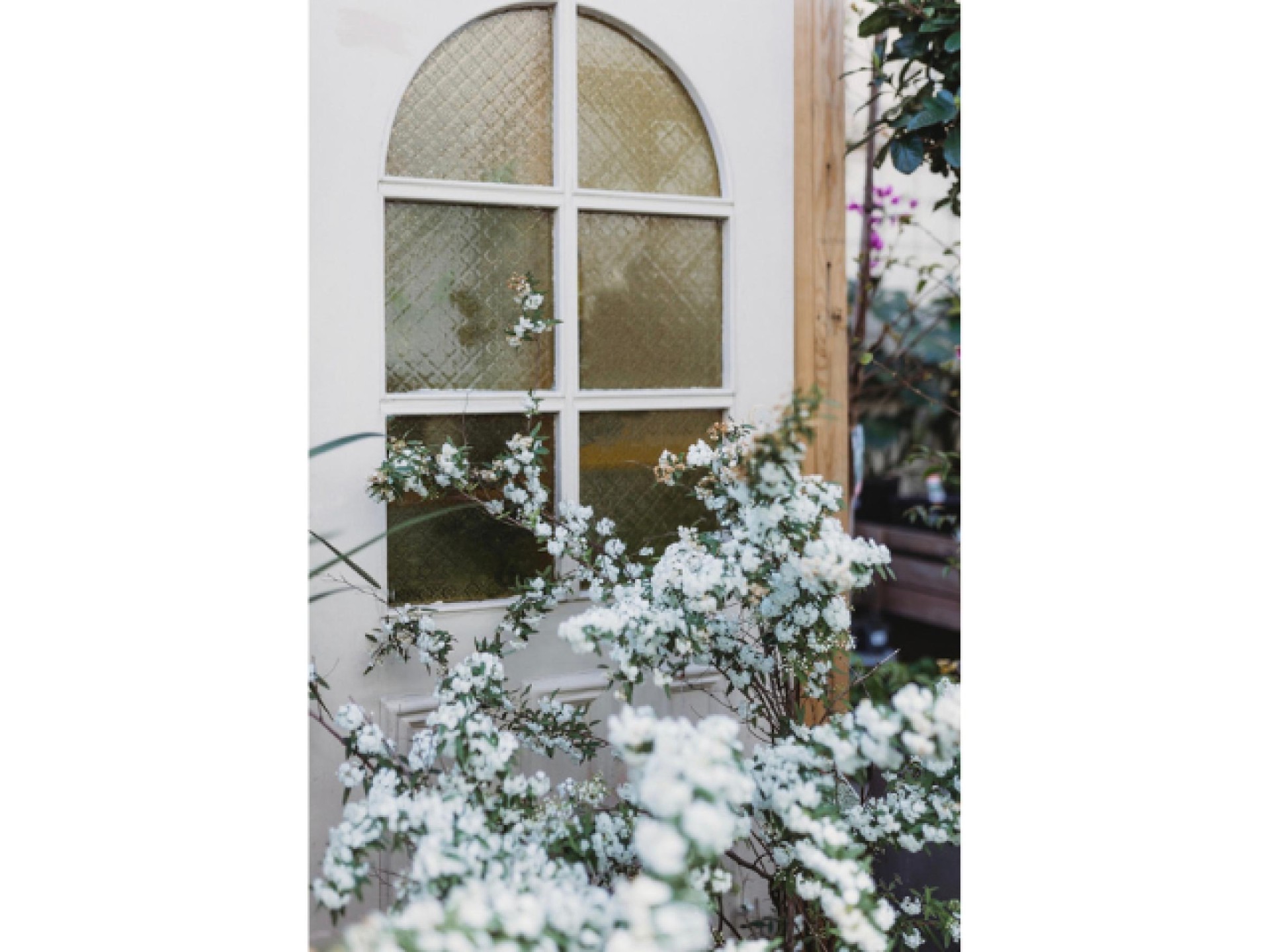 Boutique Plant / Garden 680880 3