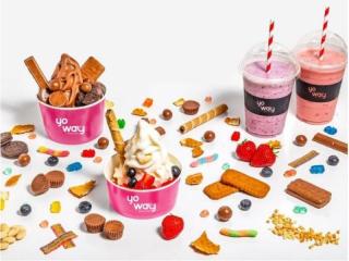 Established & Profitable Frozen Yogurt Business Prime Westfield Location