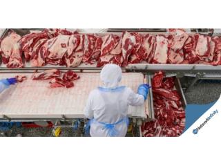 NSW Meat Wholesalers 36 years Established $ 12 mil T/0 Per Year High Profits