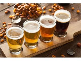 Home Brewing Retail Business - Brisbane Northside - WIWO