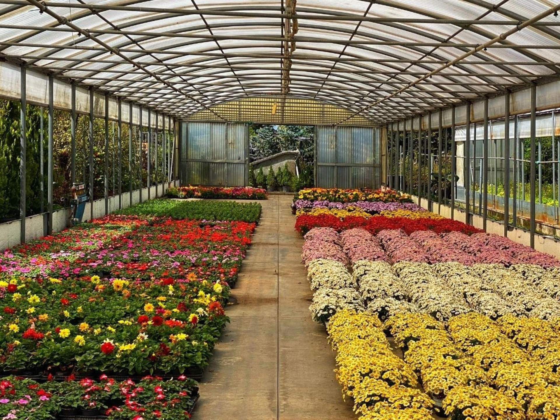Horticulture Nursery And Agriculture 682287 3