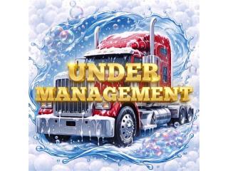 Thriving Mobile Truck Wash South East Queensland - 5944