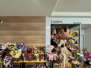 Established Florist with Loyal Customers in Busy Hobart CBD