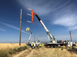 Long Established Electrical & Building Services Group