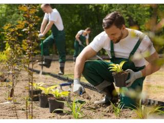 Premium Landscaping and Maintenance Business, Strong Growth!