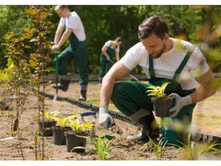 Premium Landscaping and Maintenance Business, Strong Growth!