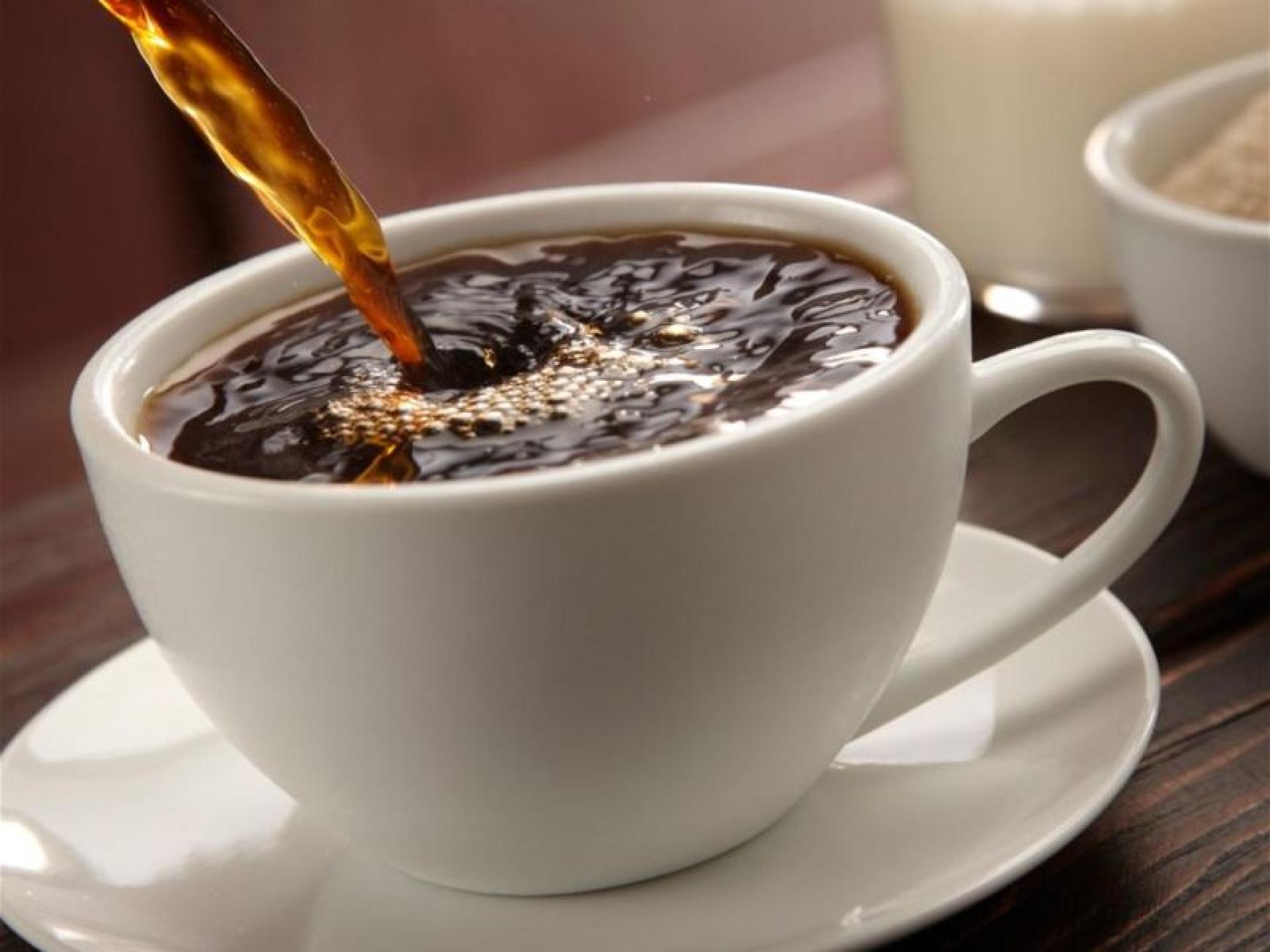 Established Specialty Cafe - 683048 1