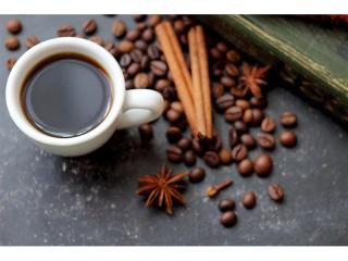 Boutique Coffee Shop / Espresso Bar