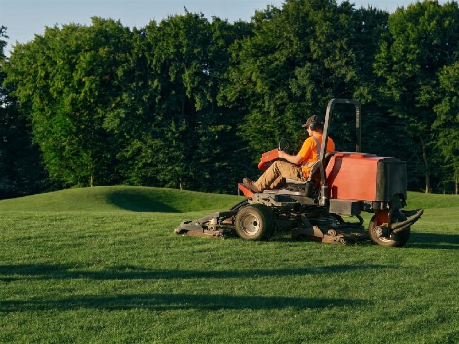 Longstanding Lawn Mowing &amp; 683354 1