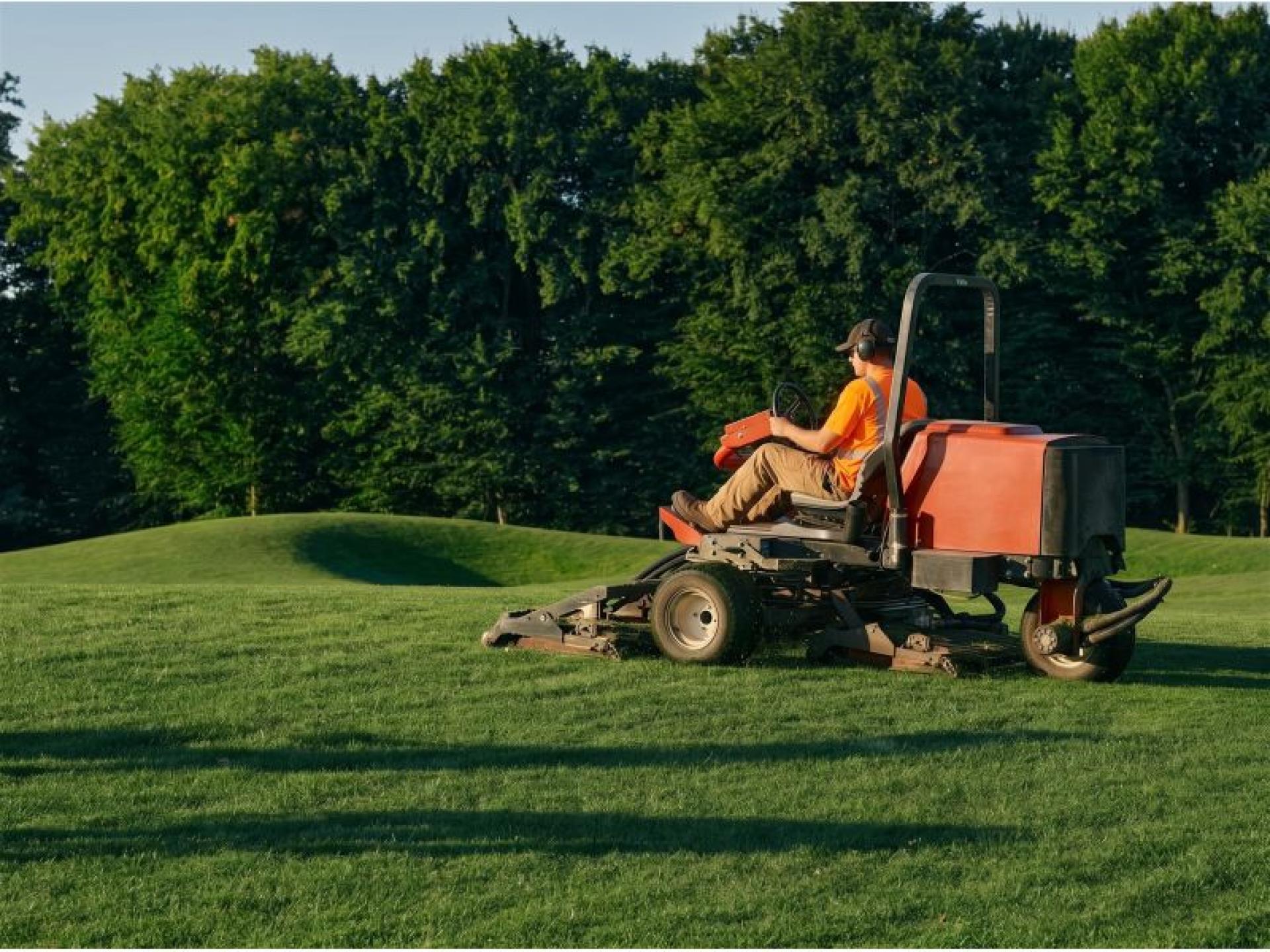 Longstanding Lawn Mowing &amp; 683354 1