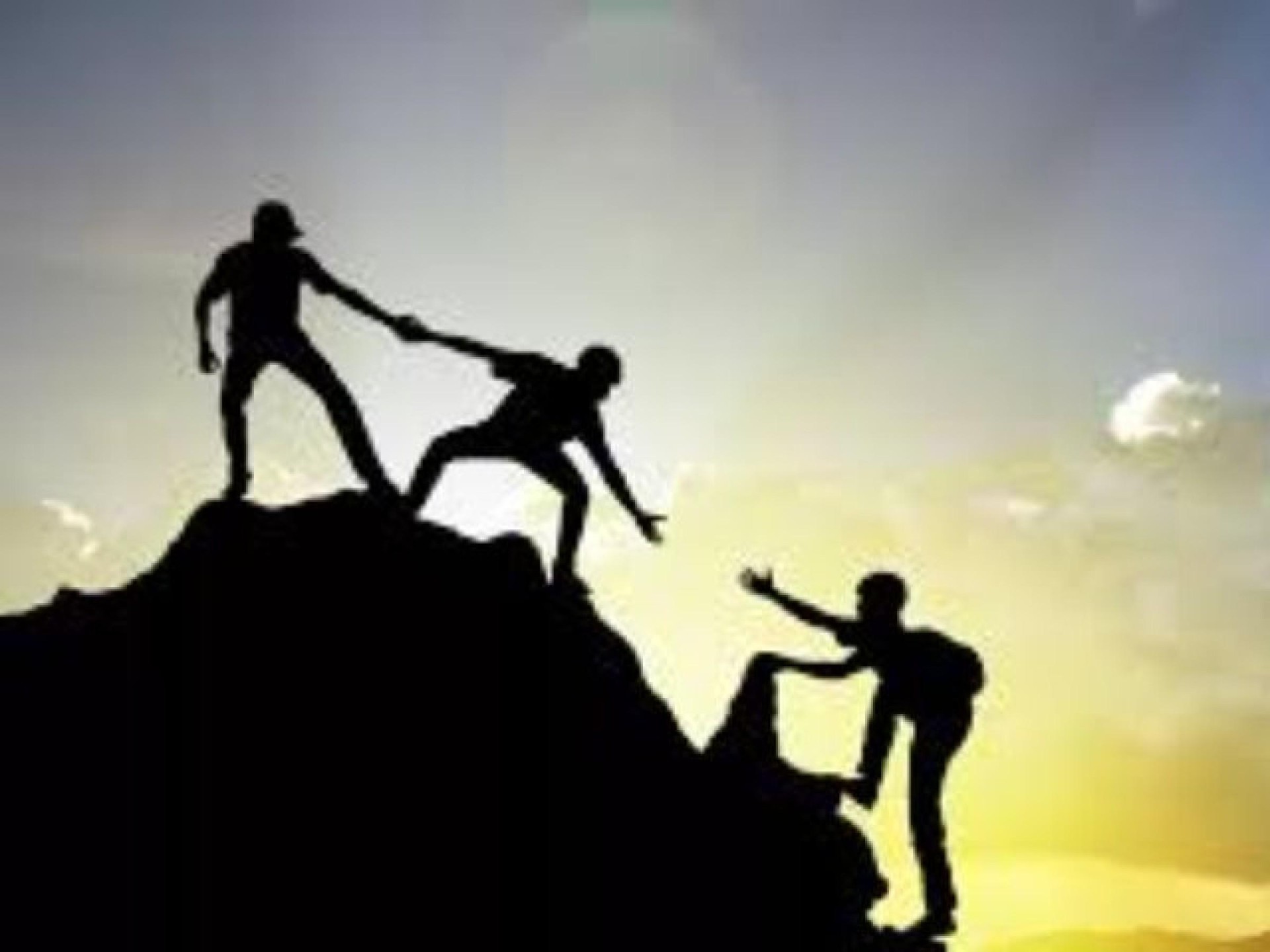 Premium Disability Support Business 683374 3