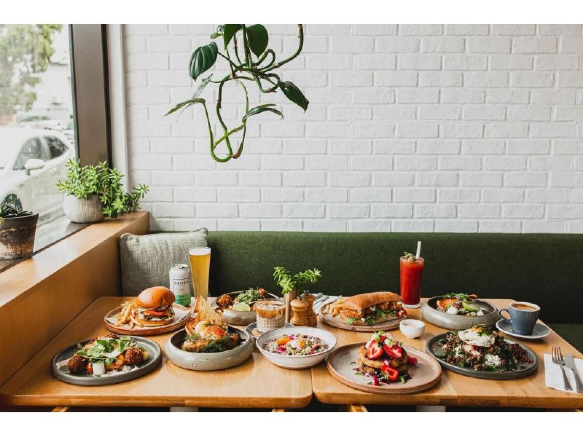 Thriving Cafe By Day 683478 1