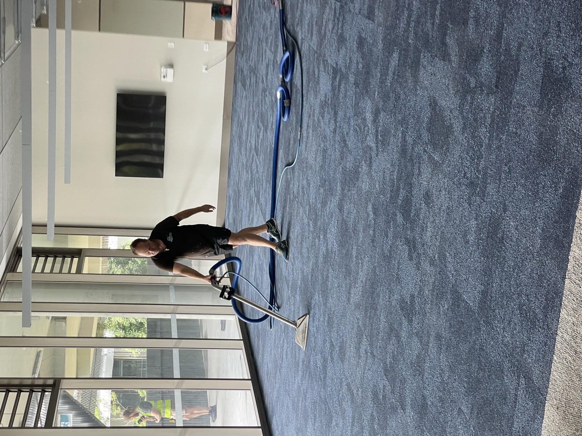 Carpet Cleaning /pest Control 683491 2