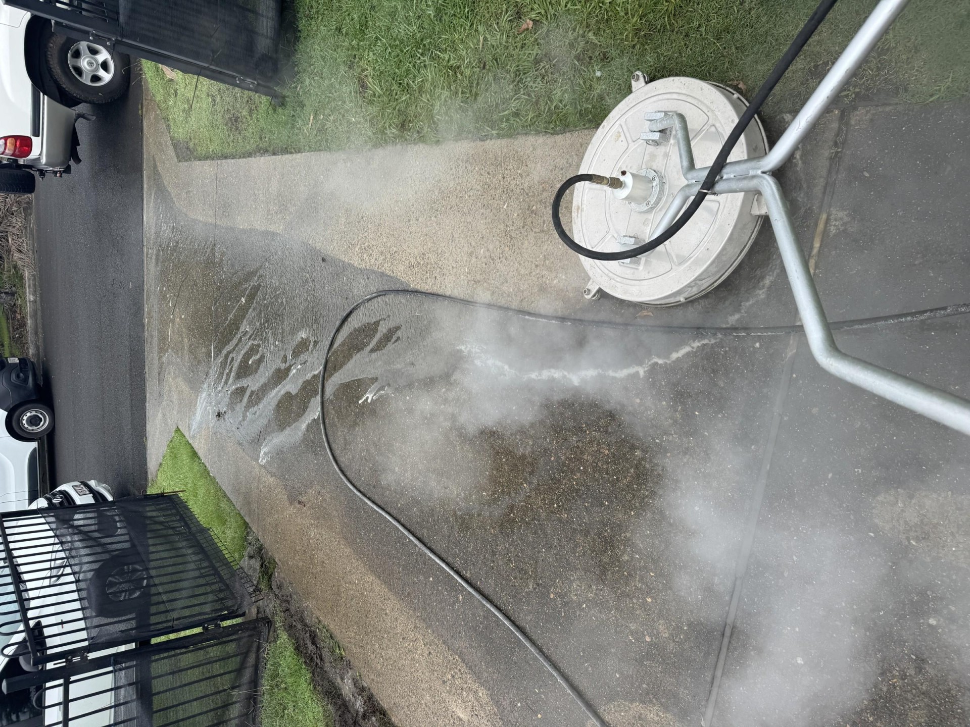 Carpet Cleaning /pest Control 683491 3