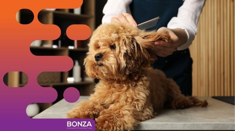 36834 - Dog Grooming 683528 3