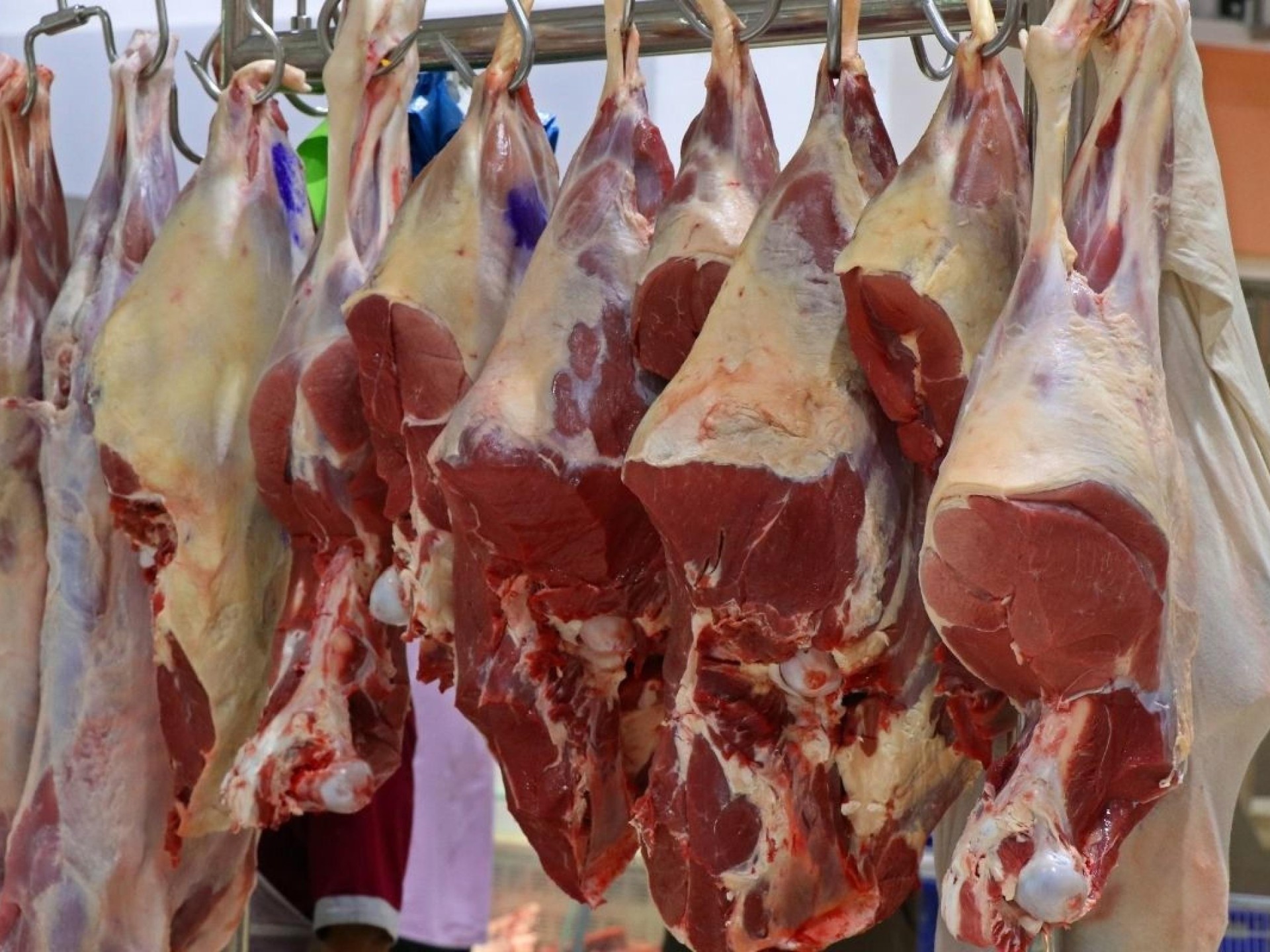 Gold Coast Large-format Butchery 683529 1
