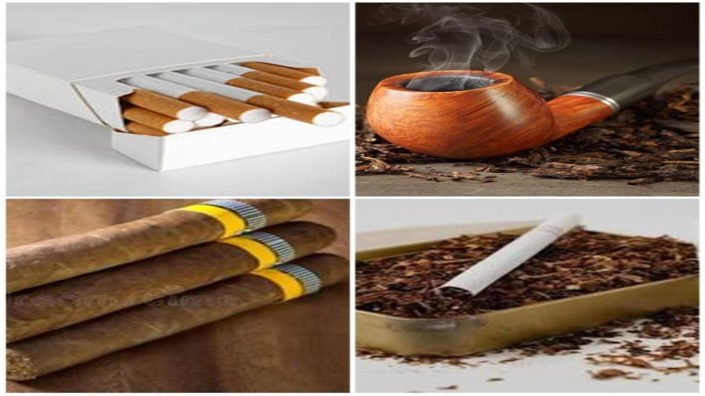 Tobacconist & Gift Shop 683707 1