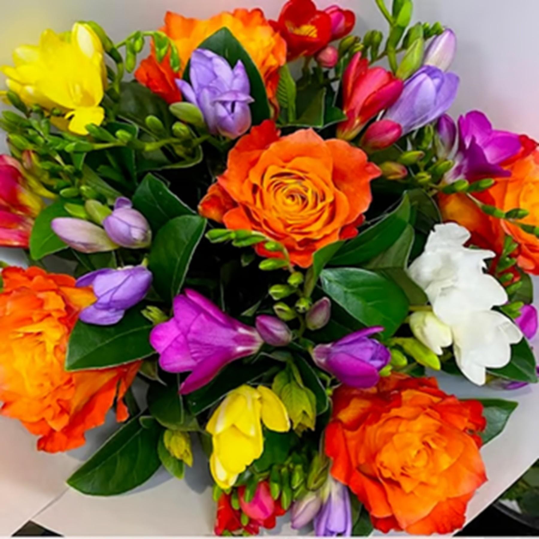 Wholesale Plants – 45years 683864 3