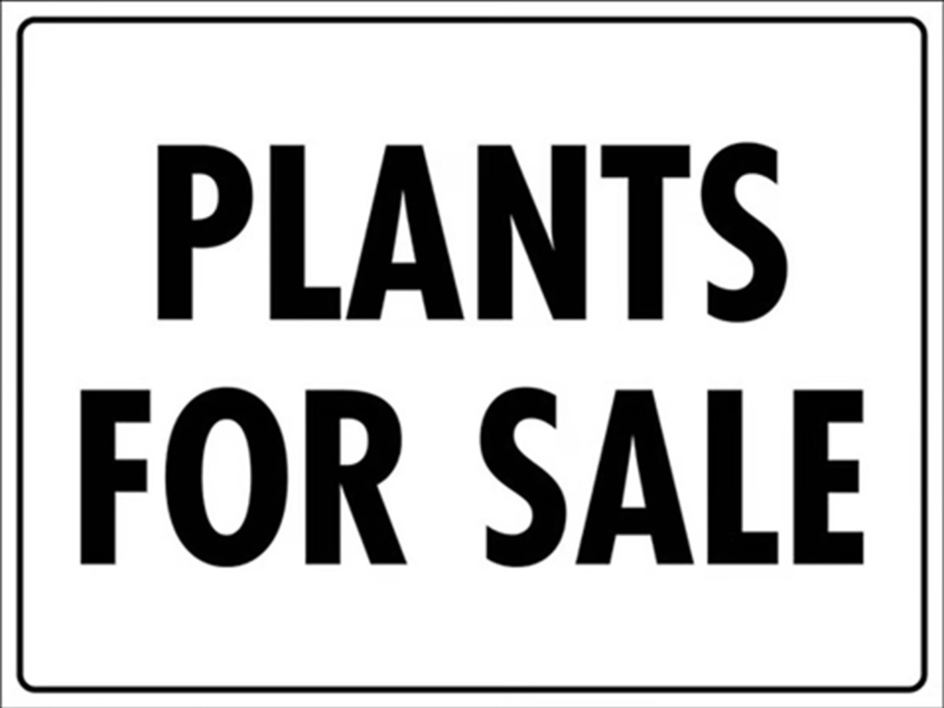 Wholesale Plants – 45years 683864 2