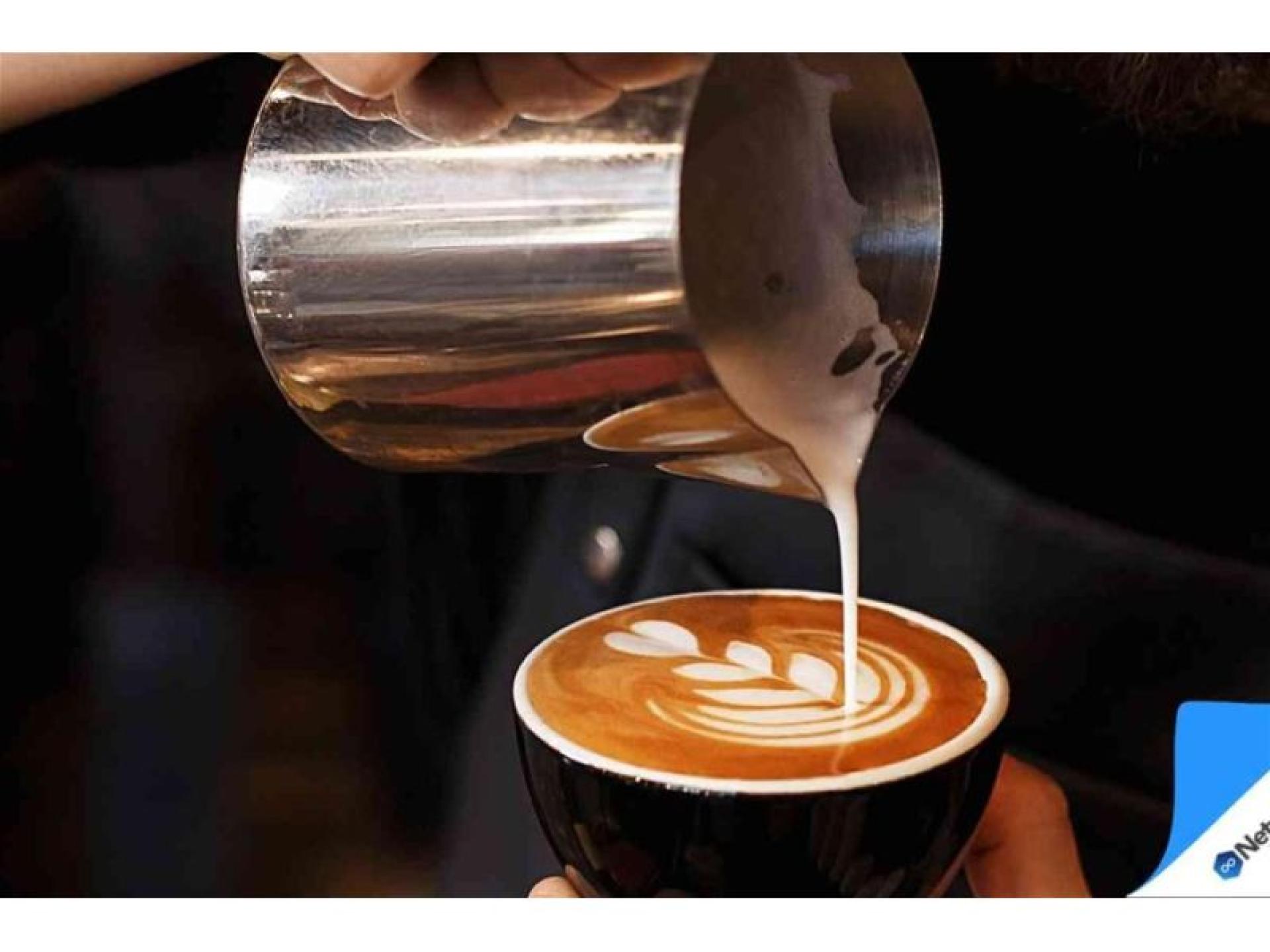 Sydney Hospitality Cafe Group 683883 1
