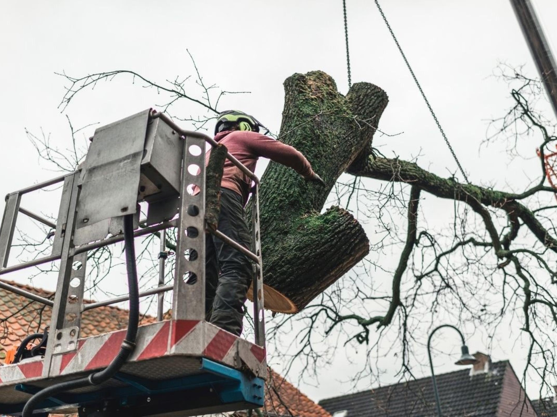 Highly Profitable Tree Servicing 684132 2