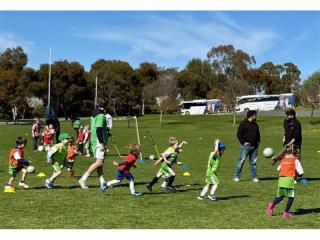 Grasshopper Soccer - Established Business