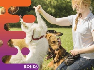 36875 Longstanding & Highly Reputable Dog Training Business - Proven Operation