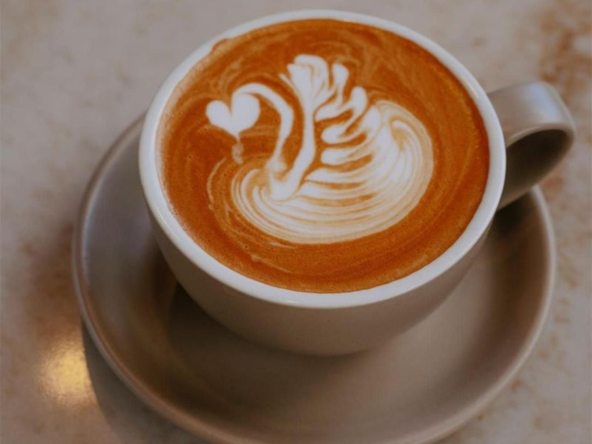 Brand New Cafe Opportunity 684426 3