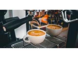 Modern Cafe for Sale - Bondi Junction, NSW
