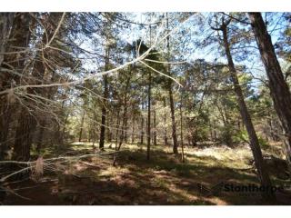 SUGARLOAF – A DELIGHTFUL 5 ACRE EX- FORESTRY BLOCK –  WELL FORESTED