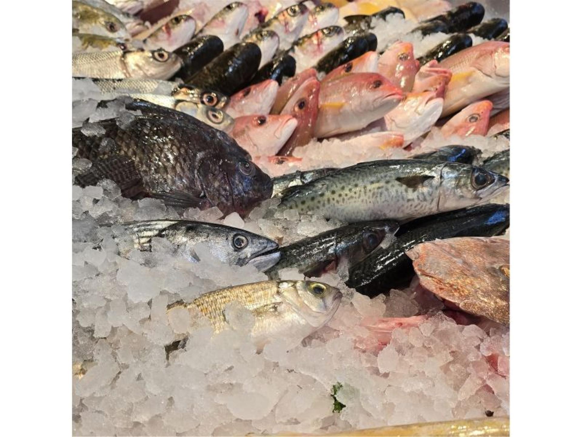 Fresh Seafood Business - 684738 3