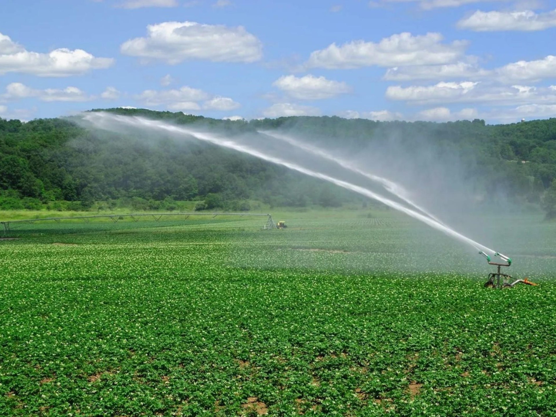 Established Irrigation Pump & 684752 1