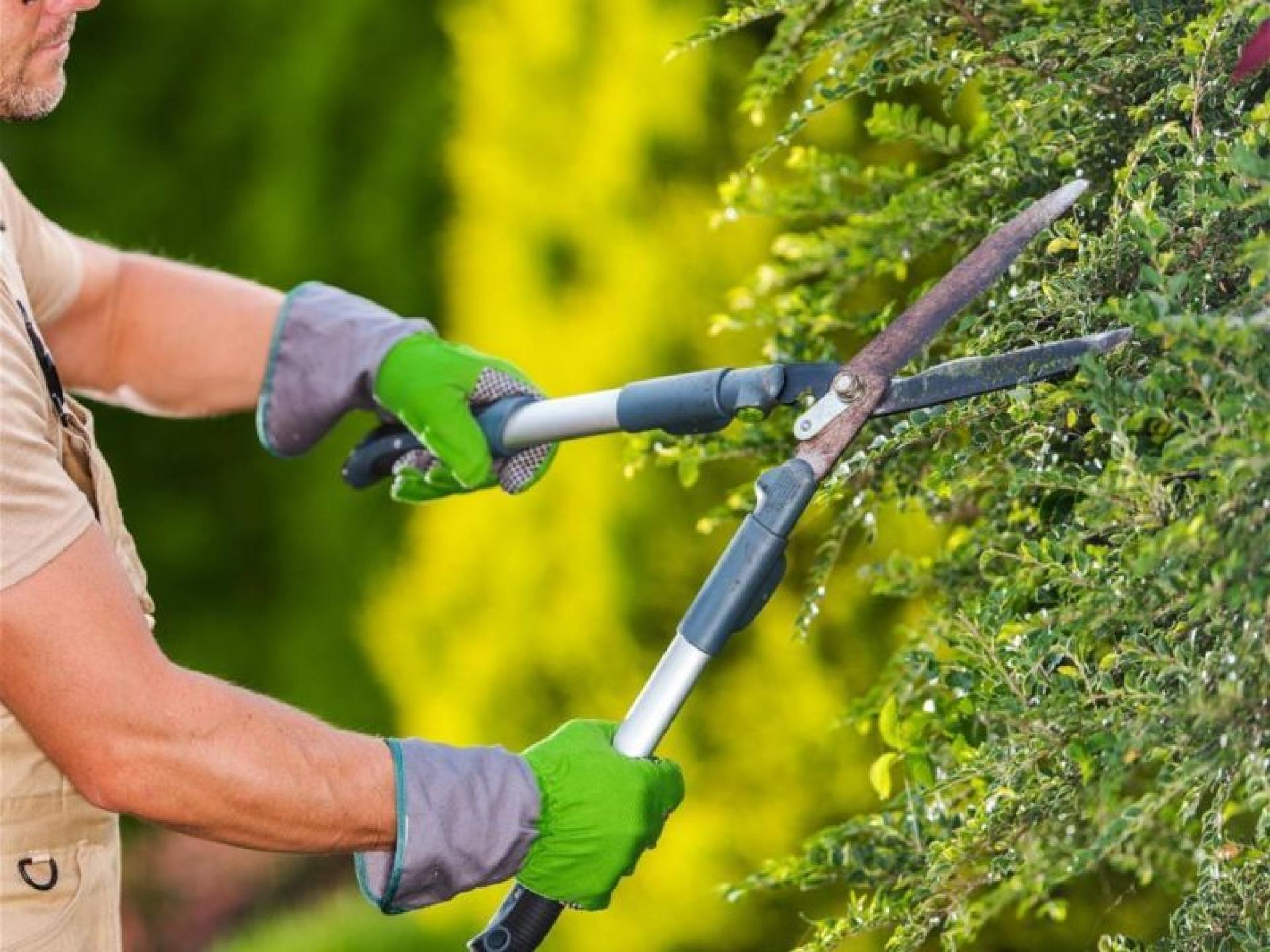 Established Garden Maintenance Business 685243 1