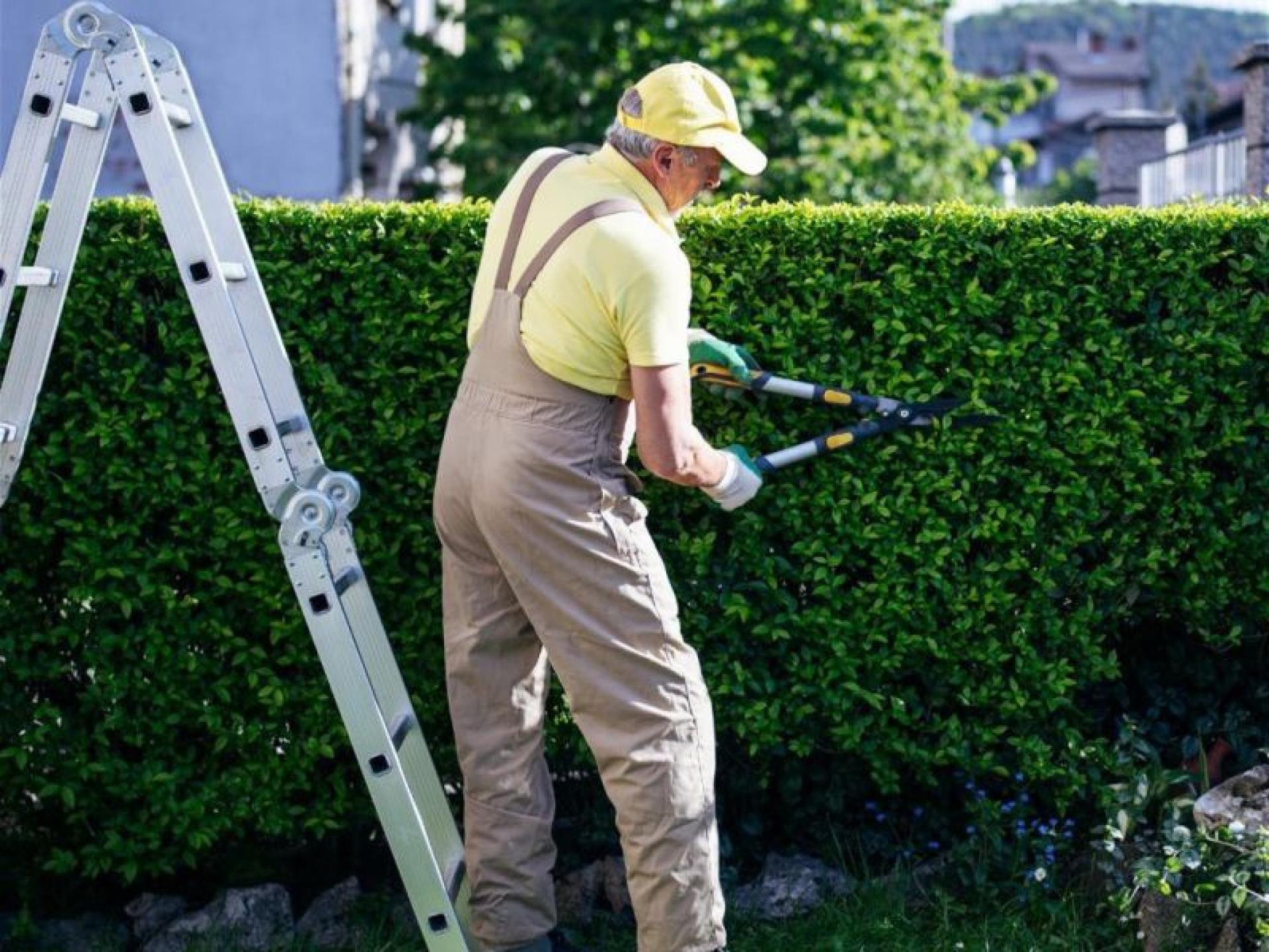 Established Garden Maintenance Business 685243 3
