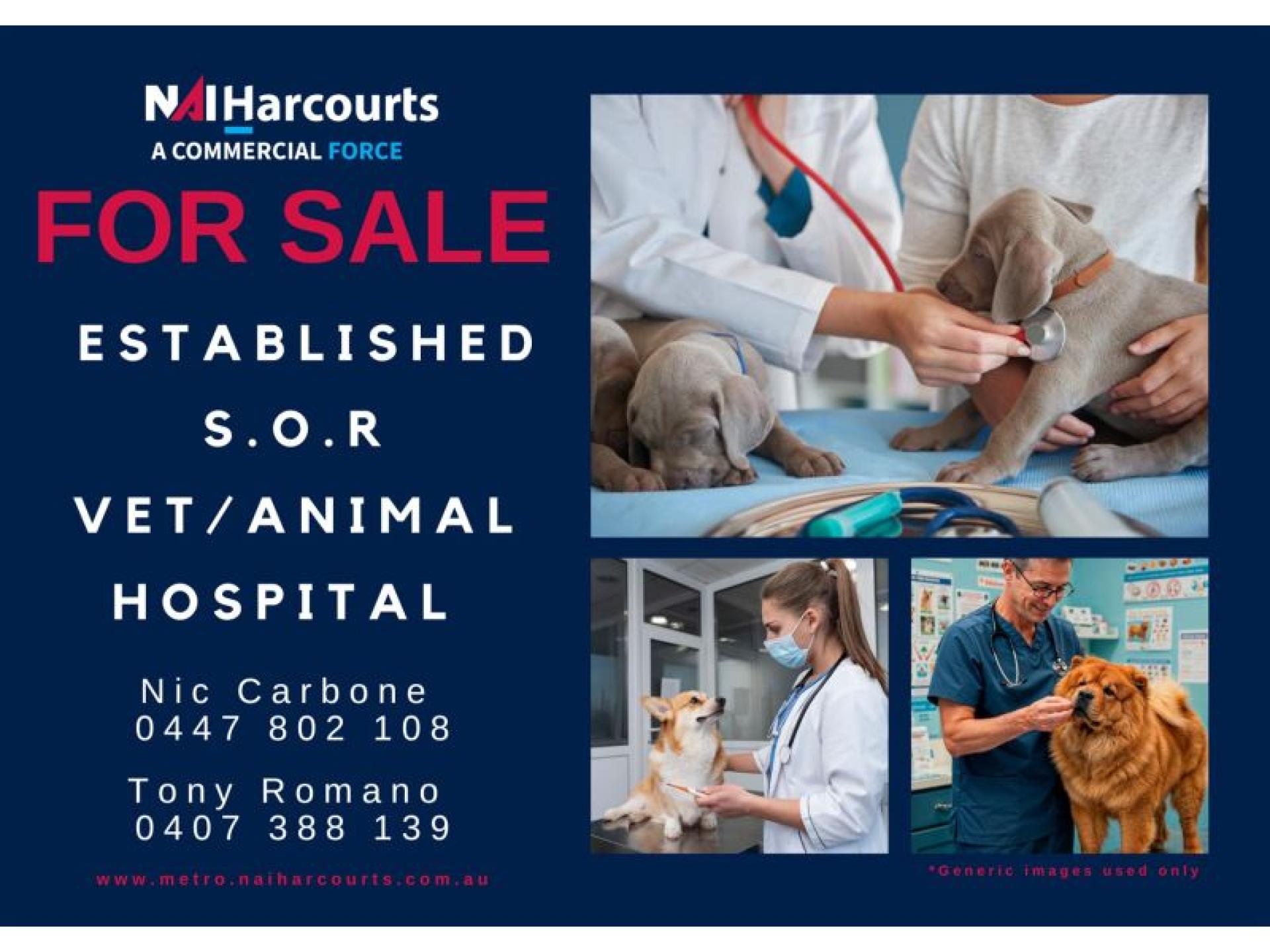 Established Veterinary Practice Running 685521 1
