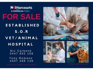 Established Veterinary Practice running Under Management!