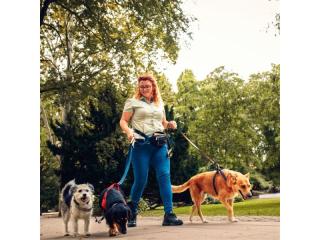 Lifestyle Dog Walking Business